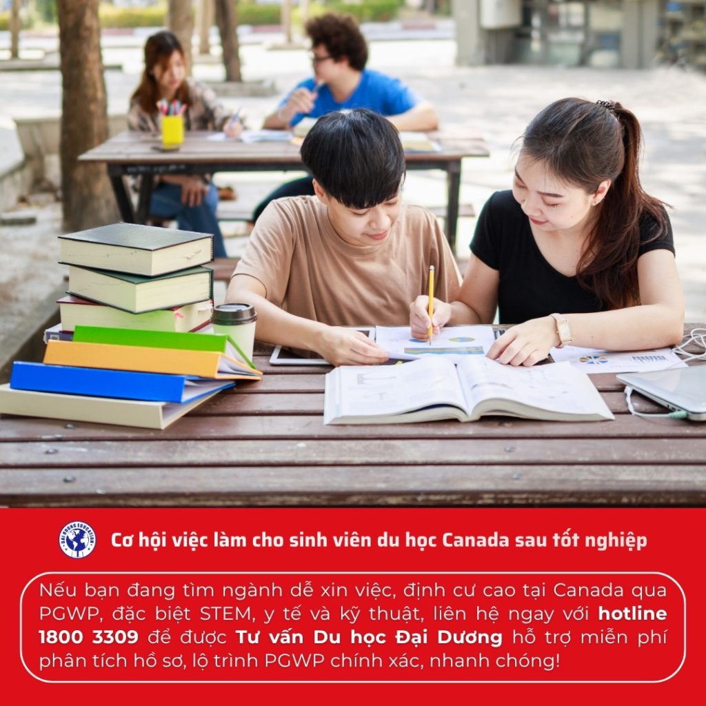 hình ảnh bài viết Cơ hội việc làm cho sinh viên du học Canada sau tốt nghiệp - Du học Đại Dương
