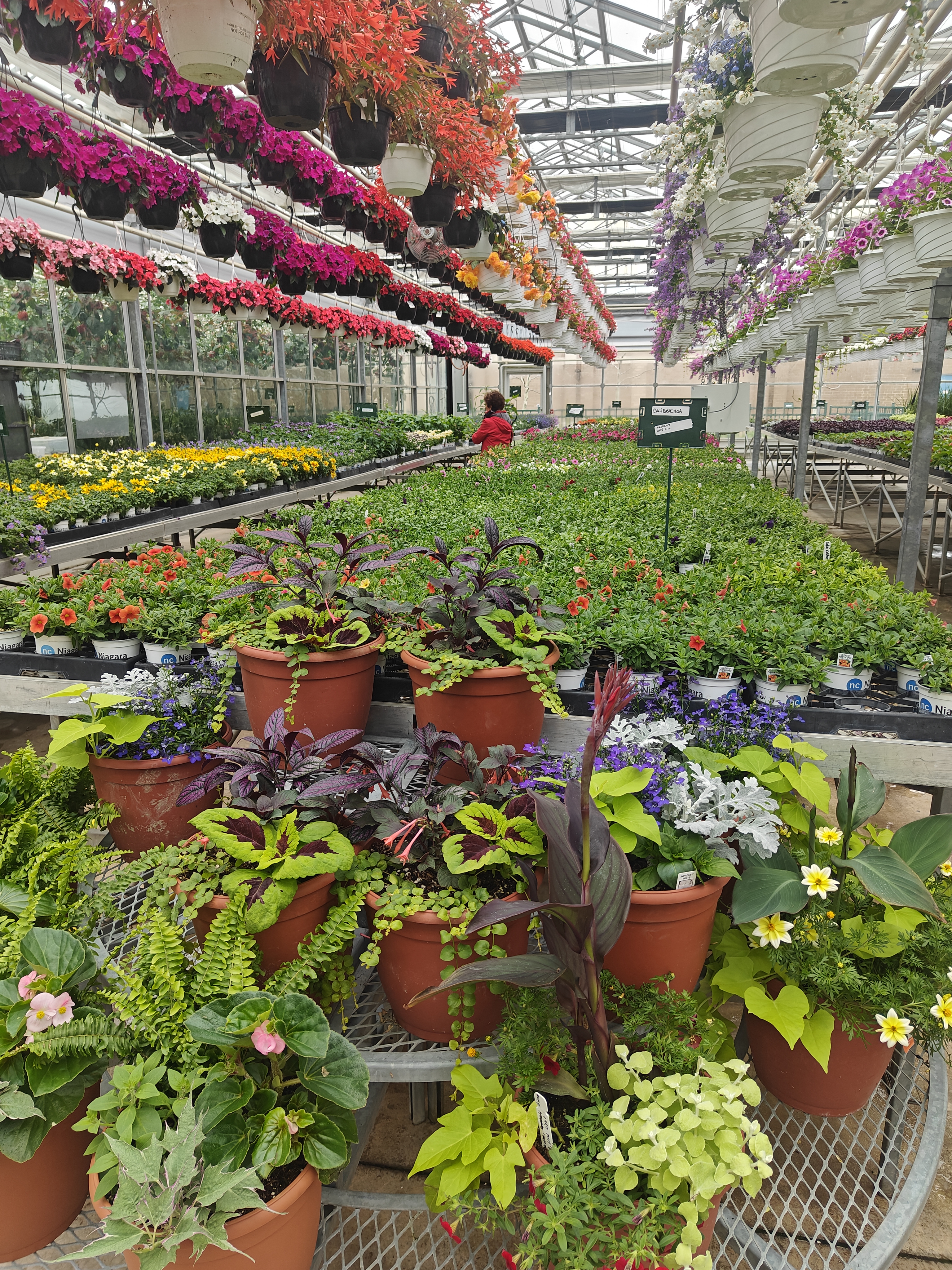 NC-GreenHouse-duhocdaiduong.com